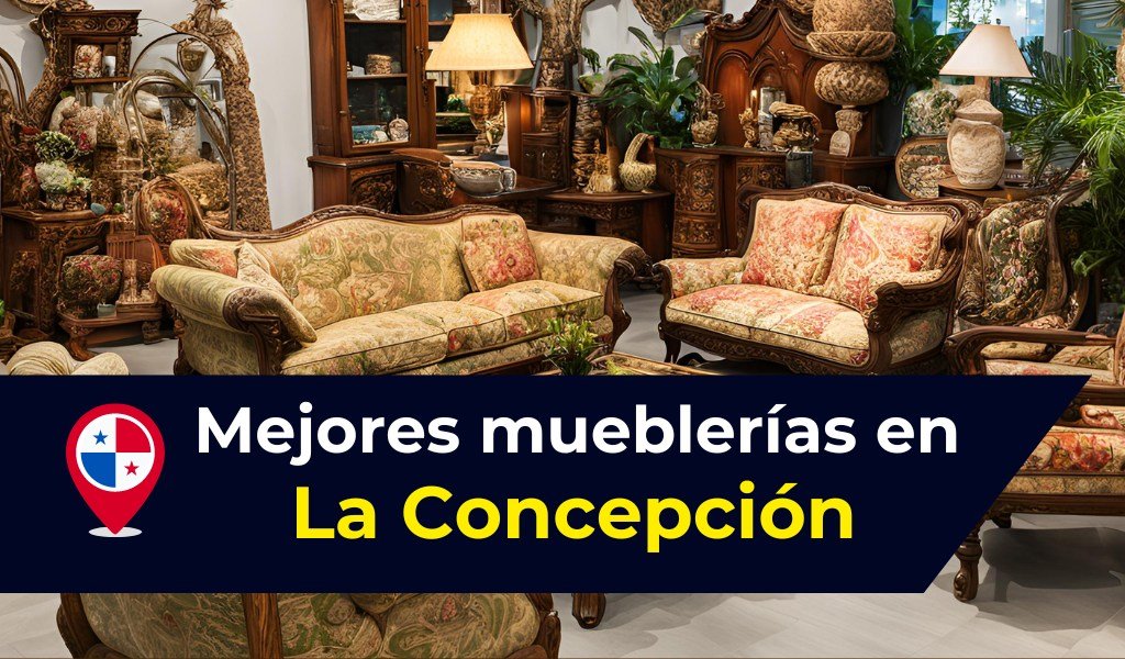 Mueblerías En La Concepción