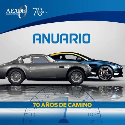 Auto Repuestos Chung