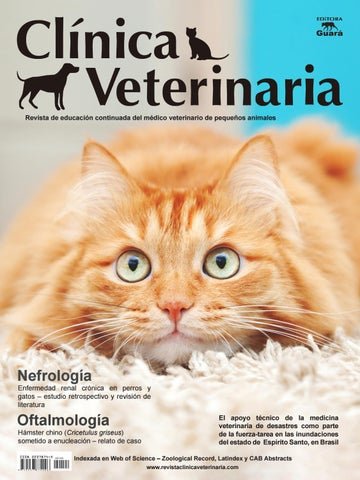 Central Médica Veterinaria