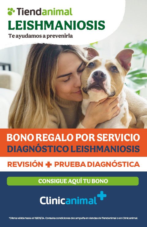 Clinica Veterinaria Maskotas