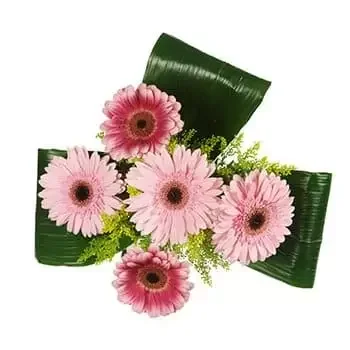 Flores De Lujo Chiriquí