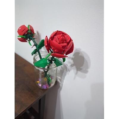 FLORISTERIA JAEL