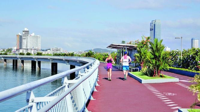 Gimnasios En Ciudad De Panamá