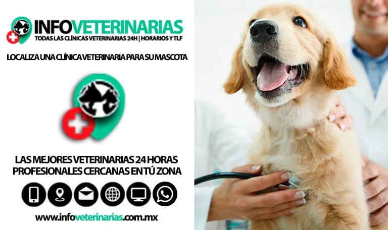 Veterinarias 24 Horas