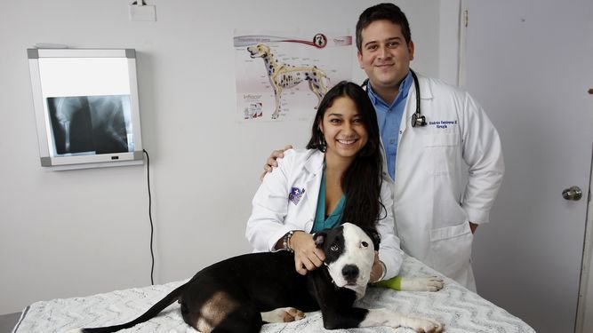 Veterinarias