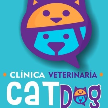 Veterinarias En Pedregal