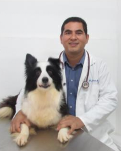 Veterinarias En Santiago De Veraguas